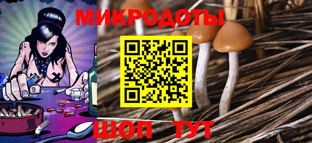 Псилоцибиновые грибы прущие грибы  купить  сайты  Котлас  Галлюциногенные грибы Cubensis  Вход с VPN 