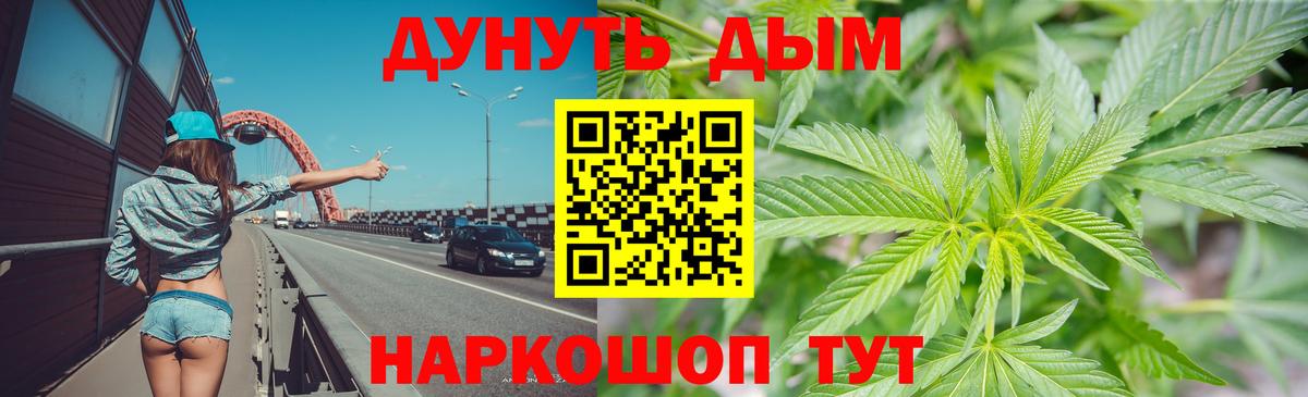 Каннабис планчик  Вход с VPN  Котлас  Канабис индика 